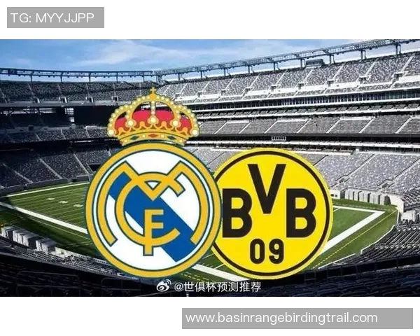 皇马与多特蒙德历史交锋战绩分析及未来对决展望