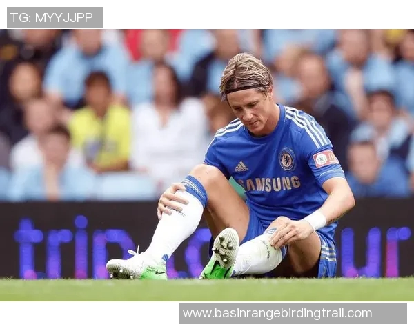 切尔西与斯旺西精彩对决集锦回顾精彩瞬间与进球分析