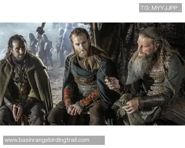 维京与布兰ds的对决：历史与文化交汇的传奇之战