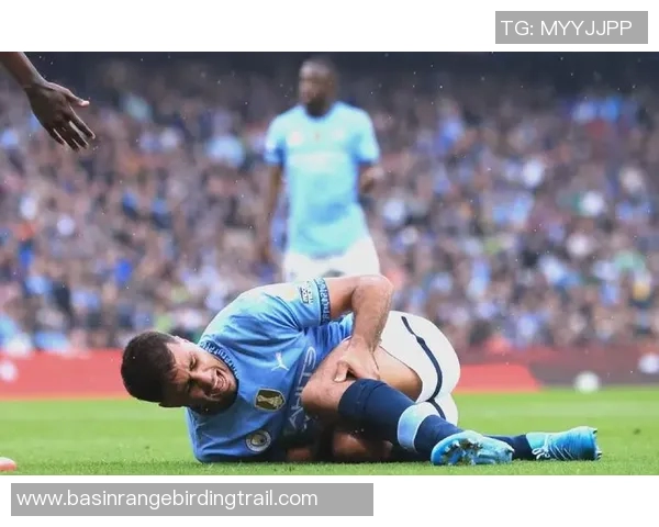 罗德里在曼城的崛起之路与未来展望分析