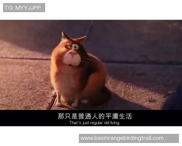 邮差马龙的奇幻旅程与心灵启迪探索 邮差马龙的奇幻旅程与心灵启迪探索