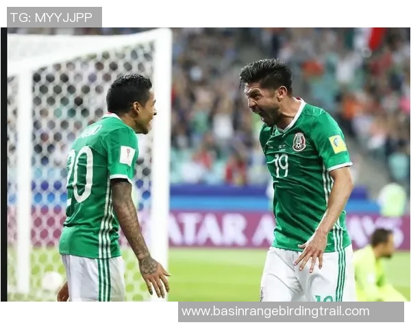 墨西哥与新西兰下半场精彩对决解析及战术分析