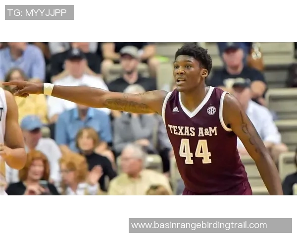 范子铭的成长之路：从青涩少年到篮球场上的闪耀明星