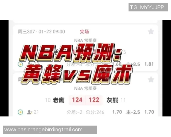 黄蜂队与魔术精彩对决回放全程回顾与赛况分析