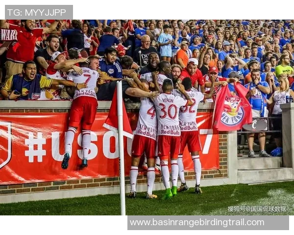 纽约红牛与堪萨斯比赛结果揭晓精彩瞬间回顾与分析