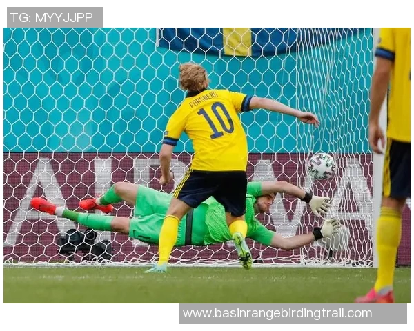 比利时对阵瑞典精彩直播全程回顾与赛后分析