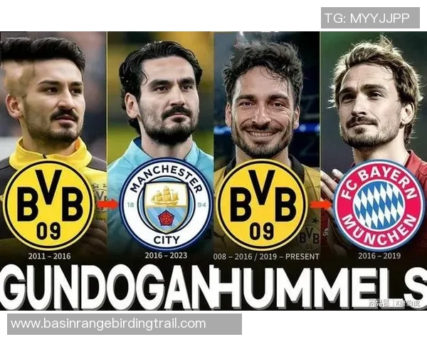 京多安的足球旅程：从德甲明星到英超巨星的辉煌蜕变与未来展望