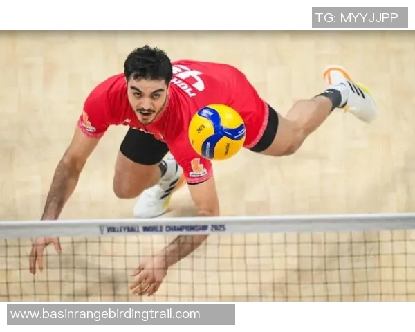 男排伊朗对阵俄罗斯精彩直播全程回顾与赛后分析