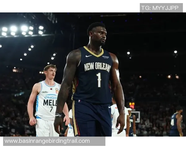 锡安体重问题持续发酵鹈鹕队聘营养师全程跟踪管理 锡安体重问题持续发酵鹈鹕队聘营养师全程跟踪管理