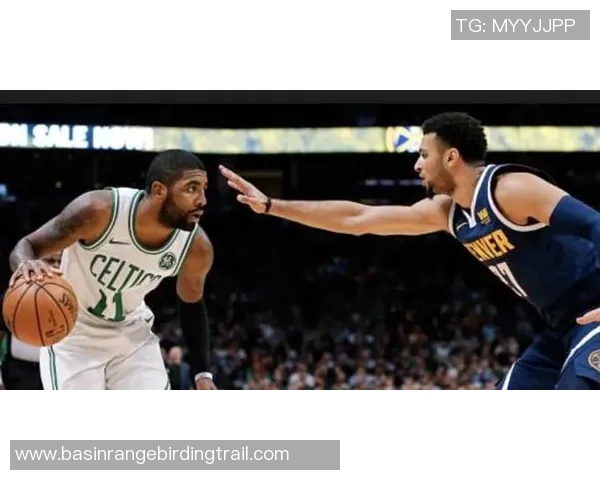 猛龙与热火精彩对决在线直播全程回放与赛后分析尽在这里