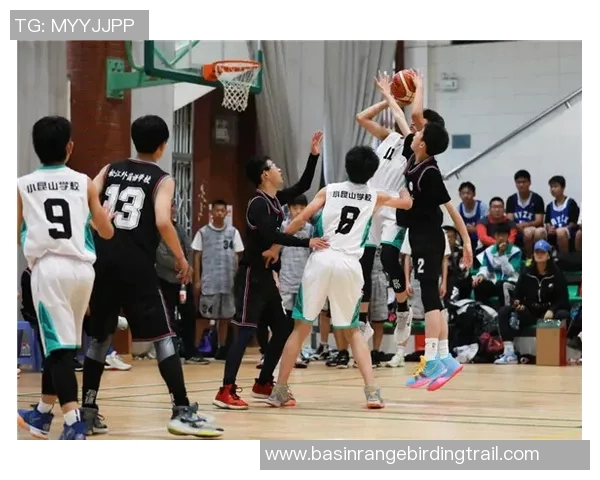 博格丹博格达诺维奇的篮球之路与成就探索