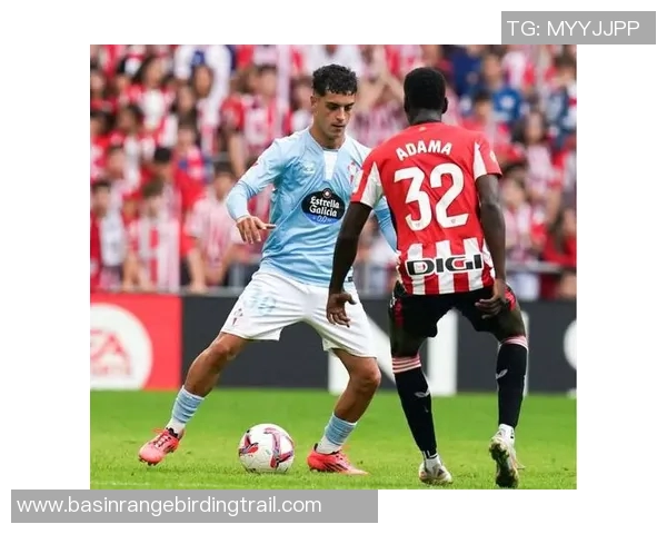 塞尔塔与马竞精彩对决视频直播全程回顾与精彩瞬间分析