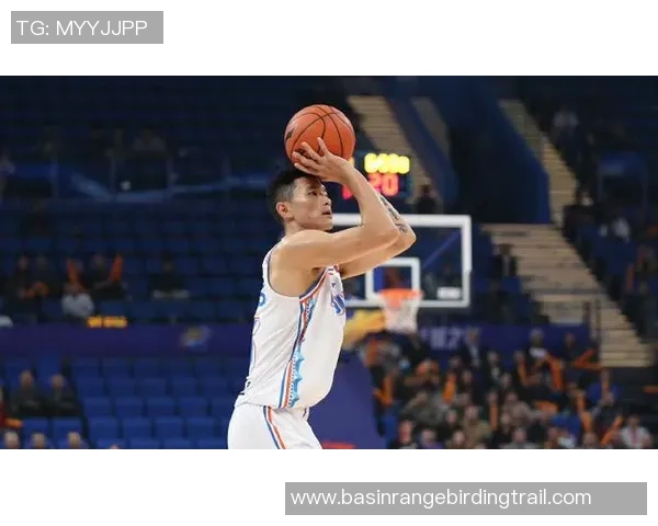 陈林坚：从青涩球员到篮球场上的璀璨明星之路