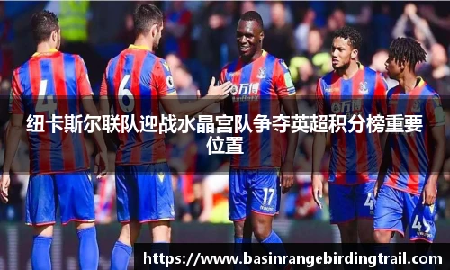 纽卡斯尔联队迎战水晶宫队争夺英超积分榜重要位置